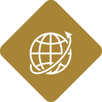global icon